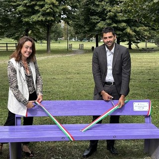 Inaugurata al parco Porporati di Grugliasco la panchina viola, simbolo della lotta all'epilessia