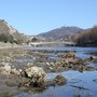 Torino come il Texas: il clima cambia e la città corre ai ripari