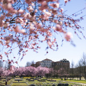 Cosa fare a Pasqua e Pasquetta? Ecco le proposte dei musei in città