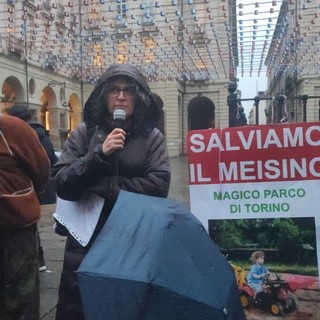 Cambiato (e ridotto) il progetto del parco del Meisino