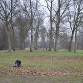 parco del boschetto