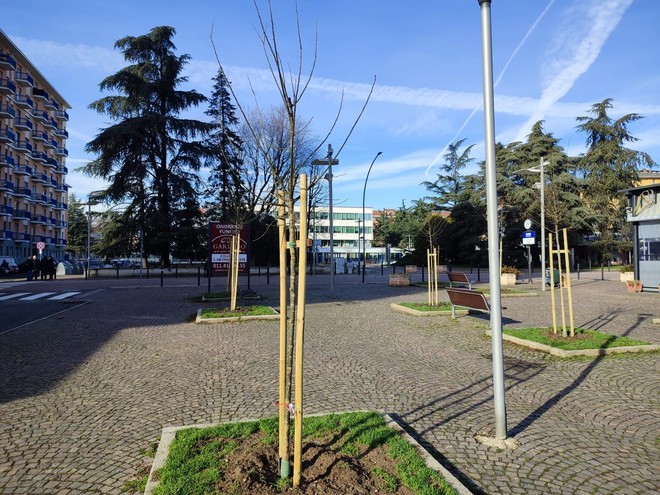 Collegno Comune sempre più green: cresce il patrimonio del verde urbano