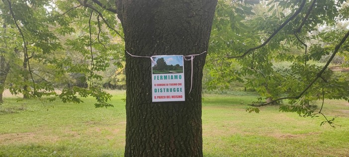 Gli attivisti di “Salviamo il Meisino” annunciano per domani pomeriggio un presidio di protesta