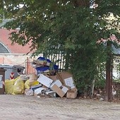 Moncalieri fa ancora i conti con i 'furbetti dei rifiuti': maxi discarica in Lungo Po Abellonio