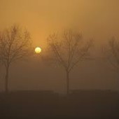 Settimana all'insegna dell'incertezza ma con più nebbia che pioggia sul Torinese