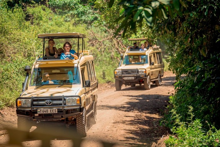 Alla scoperta della Tanzania: guida completa per un safari emozionante