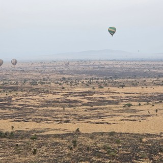 Safari in Tanzania: un viaggio oltre l'immaginazione