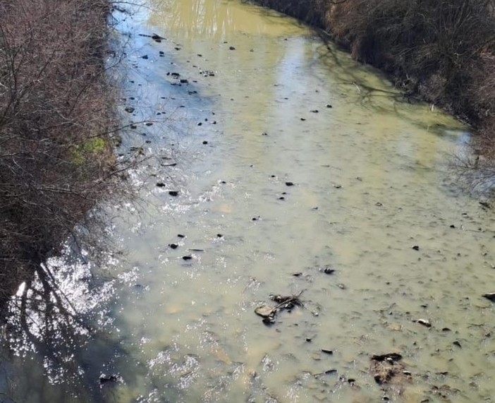 Scarichi nel torrente Sangone, il Comune di Nichelino: &quot;Soluzione in tempi brevi&quot;