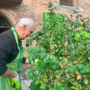 Barbara e Diego, tra gli angeli del Giardino Botanico di Palazzo Madama: &quot;Si impara sempre qualcosa qui&quot;