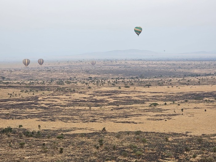 Safari in Tanzania: un viaggio oltre l'immaginazione