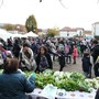 San Mauro Torinese celebra la festa degli “Orti Slow Food nelle scuole”