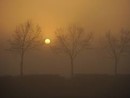 sole e nebbia