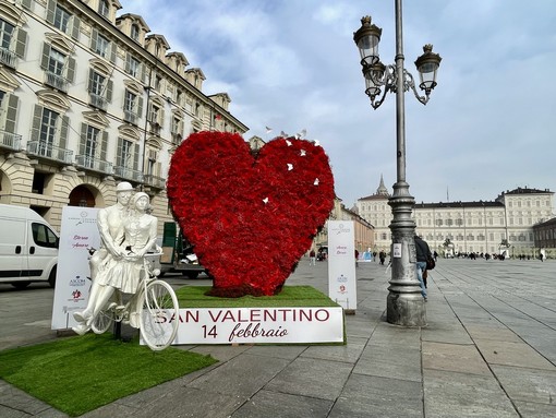 Sempre meno rose: a San Valentino i torinesi prediligono ranuncoli e gipsofila