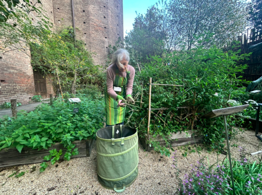 Barbara e Diego, tra gli angeli del Giardino Botanico di Palazzo Madama: &quot;Si impara sempre qualcosa qui&quot;