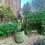 Barbara e Diego, tra gli angeli del Giardino Botanico di Palazzo Madama: &quot;Si impara sempre qualcosa qui&quot;