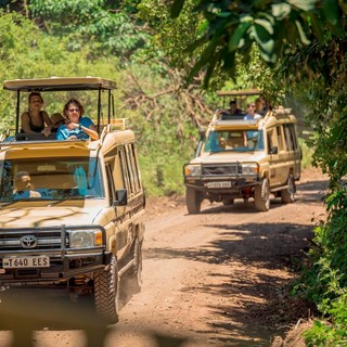 Alla scoperta della Tanzania: guida completa per un safari emozionante