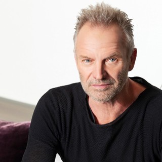 sting