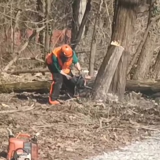 Questa mattina in azione le motoseghe nell'area del Centro per l'educazione sportiva e ambientale: &quot;Patrimonio a rischio&quot;