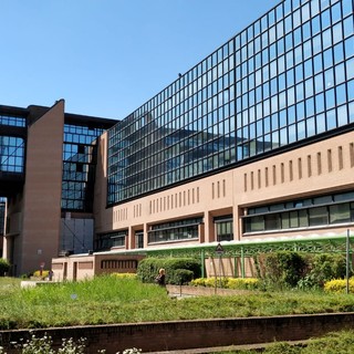 tribunale di torino