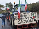 A Sanremo gli agricoltori e allevatori piemontesi: &quot;Siamo allo stremo, servono risposte dal Governo&quot;