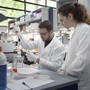 Bando Multi-Round di Fondazione Telethon: in Piemonte assegnati 160 mila euro per la ricerca sulle malattie genetiche rare