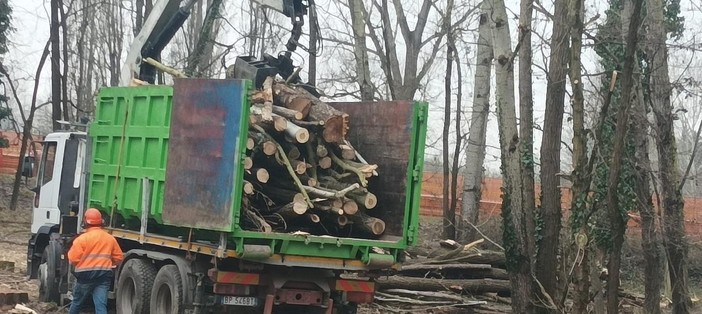 camion con carico di alberi tagliati