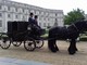 Da La Bella e la Bestia a Lidia Poët: The Coachman porta le carrozze d'epoca sui set del Piemonte