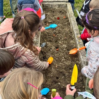 Tulipani per la pace a San Mauro