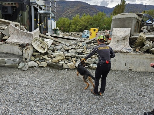 Successo per l'esercitazione &quot;1° USAR MRT ITALIA&quot;: 30 unità cinofile in azione tra Val Susa e Sangone