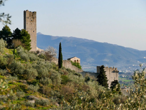 All'Accademia Albertina di Belle Arti apre la mostra sui recupero dei borghi antichi, &quot;Lizori. Segni e dialoghi&quot;