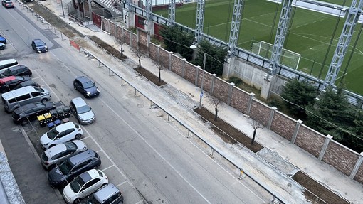 Alberi caduti o rovinati, aiuole vuote, degrado: via Filadelfia sempre più sporca e meno verde