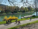 Moncalieri, contro i 'furbetti della bici' arriva il limite dei 10 km/h