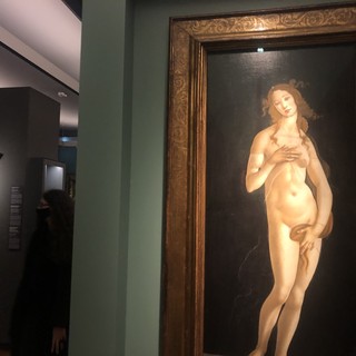 Sandro Botticelli, la storia della Venere torinese “meno conosciuta” a Palazzo Reale