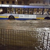 Limite di 30 Km/h in corso Regina Margherita per i lavori di riasfaltatura