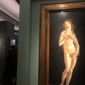 Sandro Botticelli, la storia della Venere torinese “meno conosciuta” a Palazzo Reale