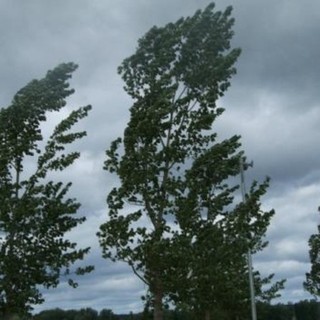 Ambiente, in Piemonte nasce l’Osservatorio Regionale sui cambiamenti climatici