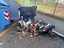 Vandali in azione a Nichelino: bruciati i cassonetti dell'immondizia vicino alla stazione