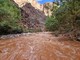 Paura al Grand Canyon per inondazioni improvvise, oltre 100 persone evacuate - Video