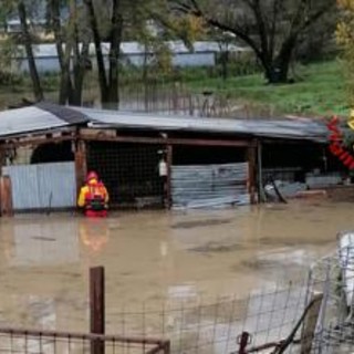 Maltempo a Rieti, raffiche di vento e pioggia: danni, crolli e allagamenti