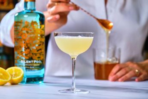 Arriva 'Silent pool', un gin amico delle api che parla anche italiano e adora il miele