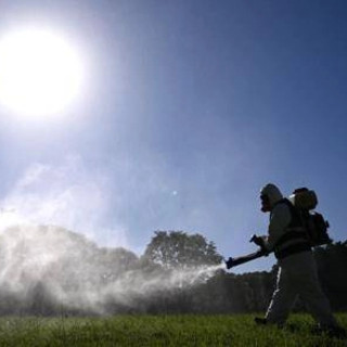 Dengue, gli esperti: &quot;Bene modello marchigiano per contenere focolaio&quot;