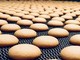 Biscotti Divella, nel 2023 fatturato in crescita del 30%