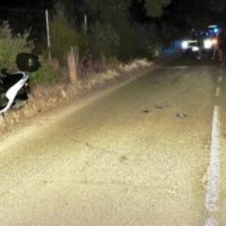 Si schianta in scooter contro un cervo, turista milanese muore nel Cagliaritano