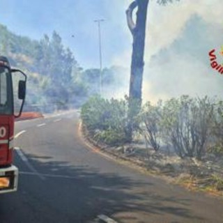 Roma, nuovo incendio a Monte Carnevale