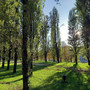 Giardini dove sorgerà la ruota panoramica